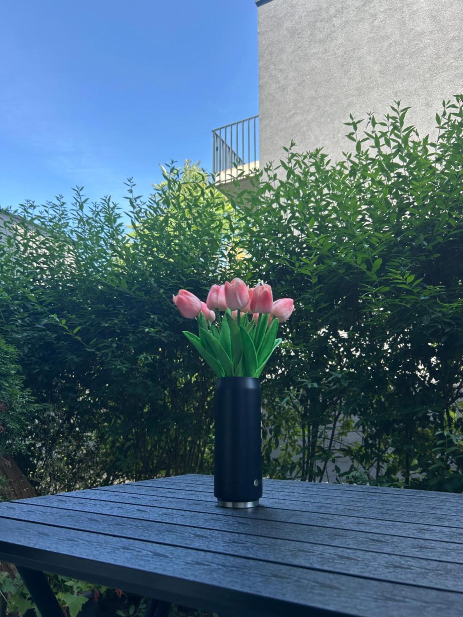 Salvia Ii Exklusiv & Smart & Terrasse Ii Dein City-apartment Appartement *